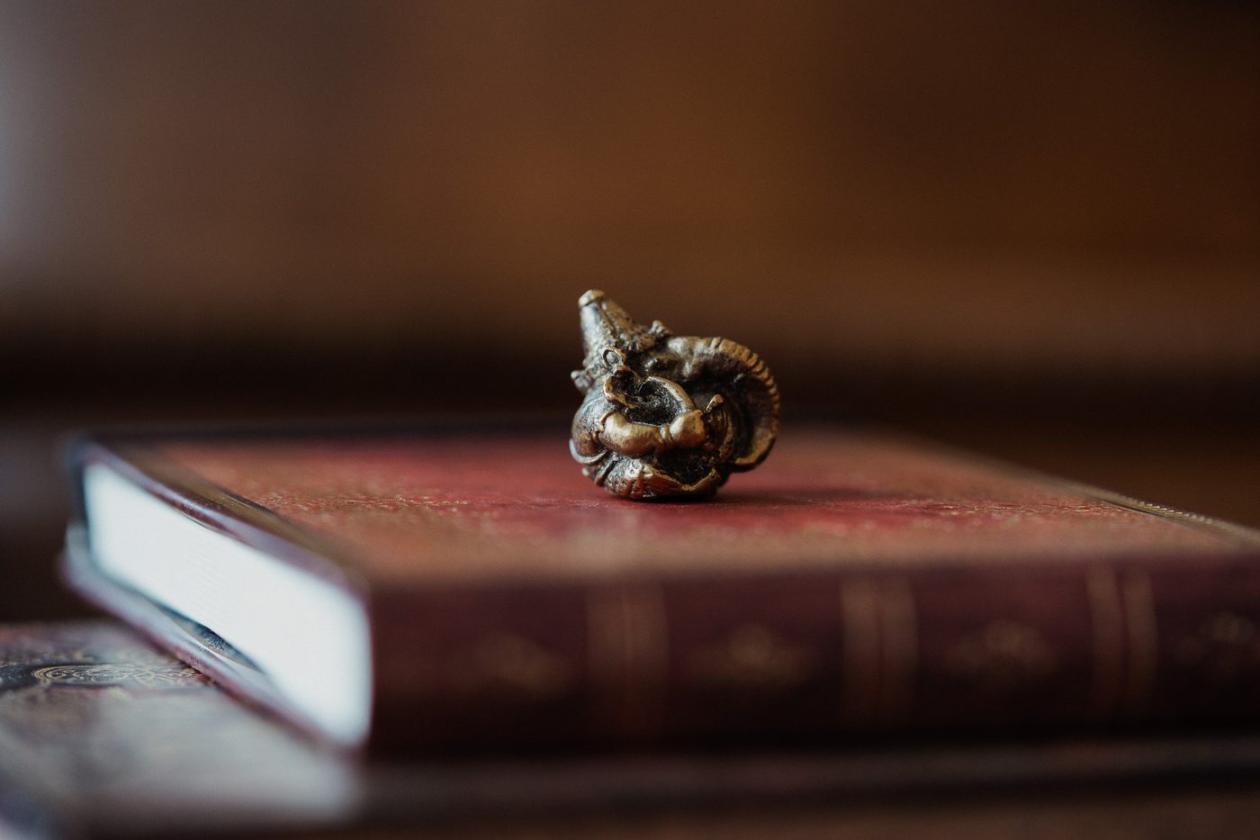 Gabriella Rist, GANESHASHALA® – der Ganesha auf dem Buch, Zeichen des Neubeginns