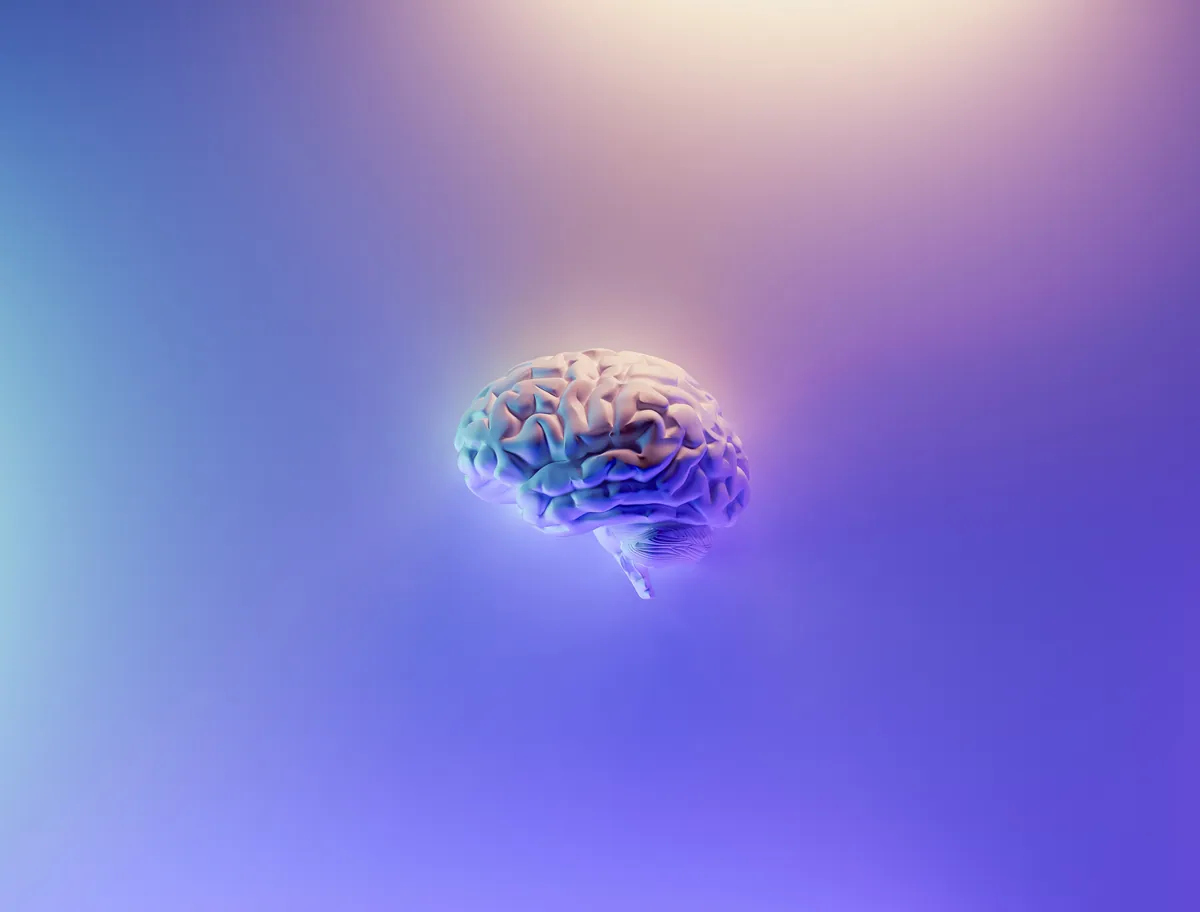 Gabriella Rist · GANESHASHALA® – Entwicklungstrauma, Komplextrauma und emotionale Flashbacks