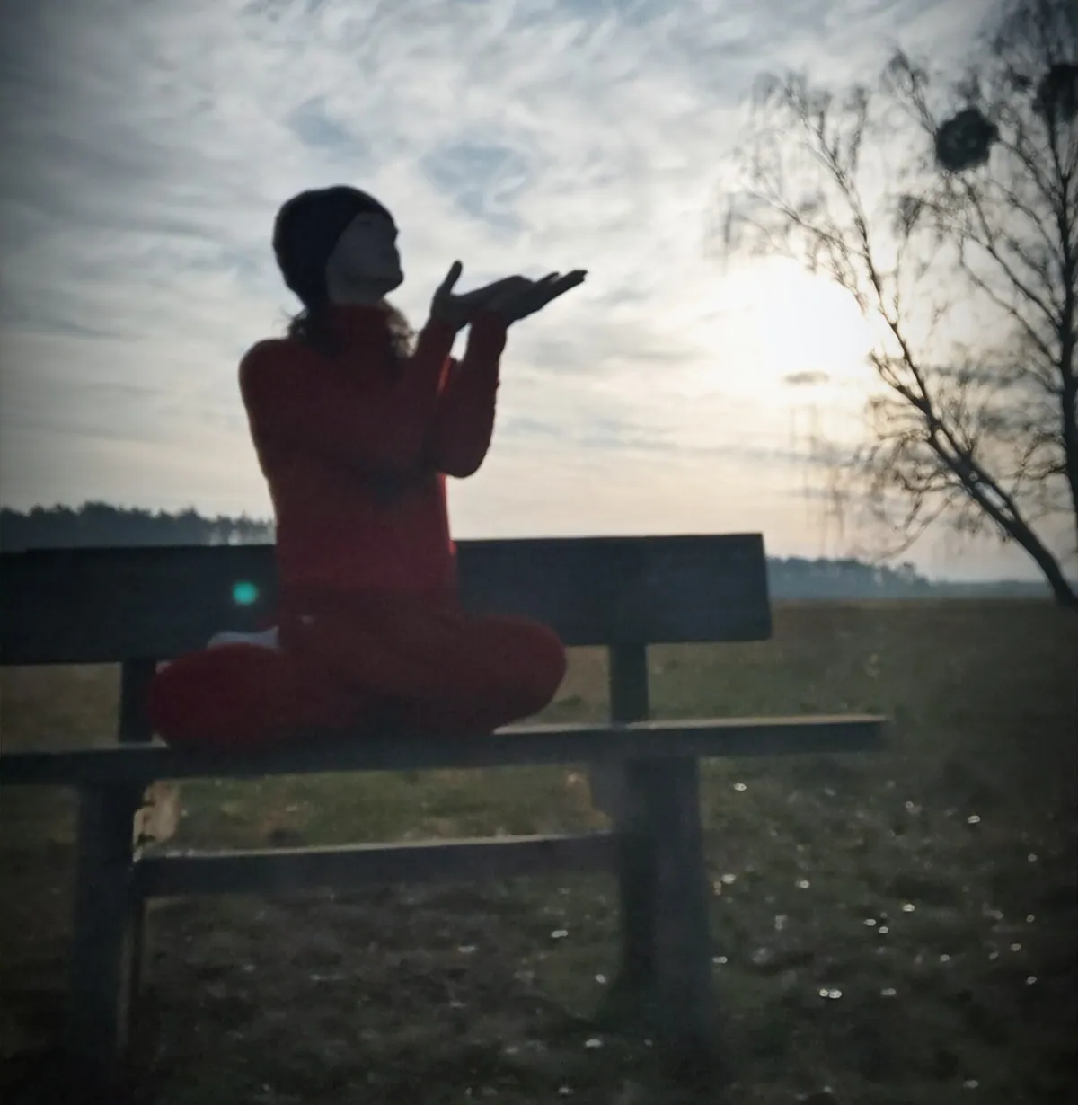 Gabriella Rist · GANESHASHALA® – Entwicklungstrauma und Traumaheilung kPTBS Berlin