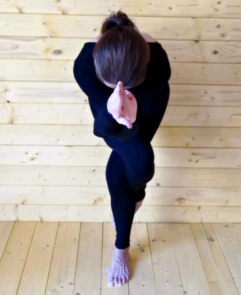 Traumasensitives Yoga nach Bessel van der Kolk, Entwicklungstrauma und kPTBS heilen Gabriella Rist