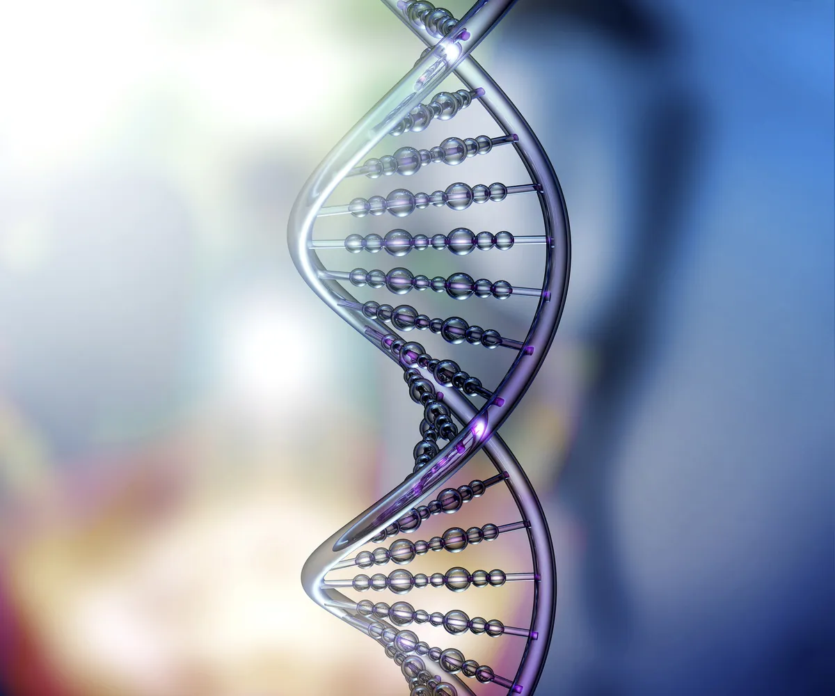 Gabriella Rist · GANESHASHALA® – Meister unserer Gene werden. Das belastbare Gehirn, Epigenetik, Stress. Können Traumata vererbt werden? Meditation